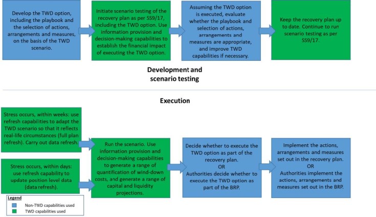 Diagram 1: How TWD capabilities support the development and execution of the TWD option